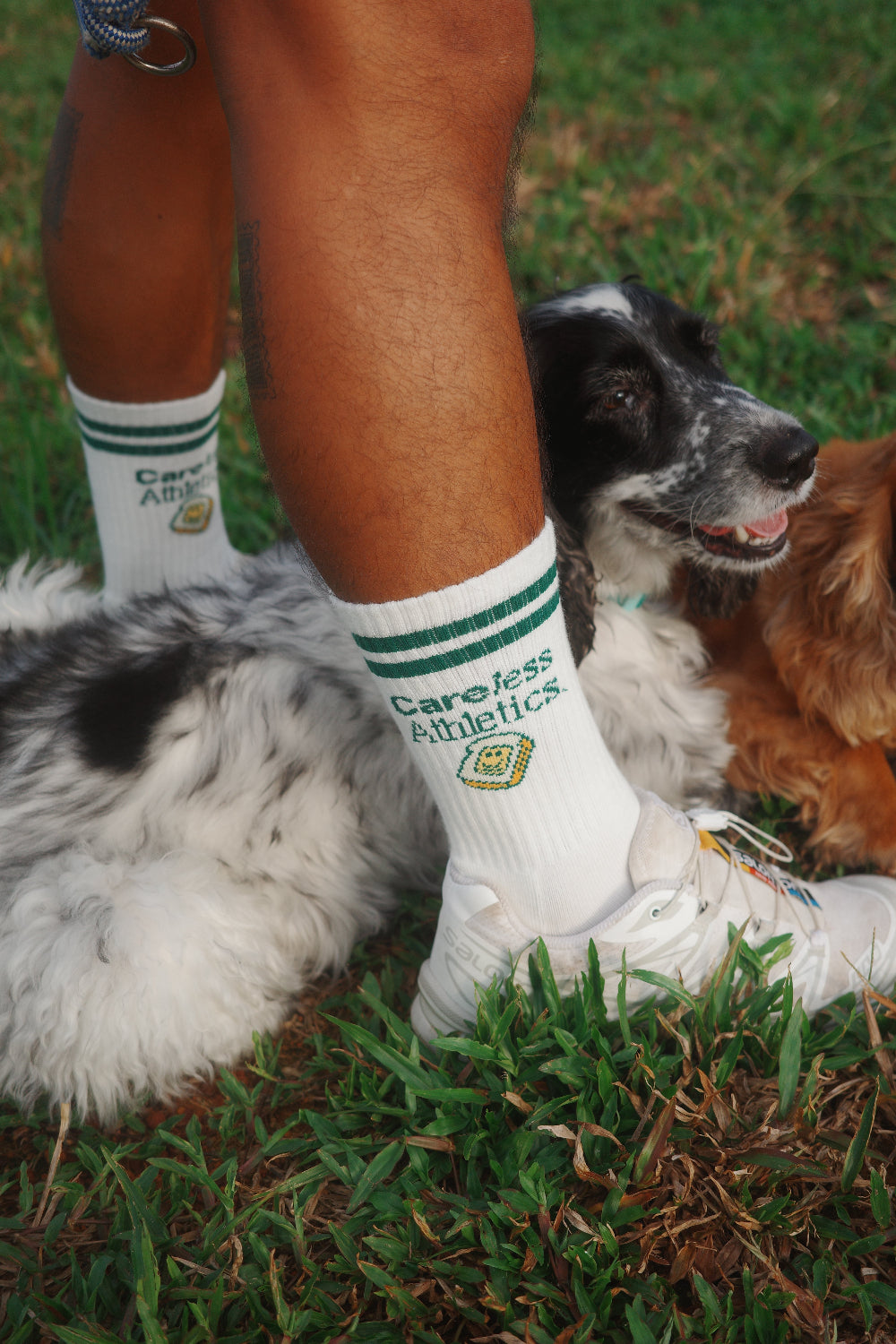 Person wearing Careless Athletics socks with dogs in the background