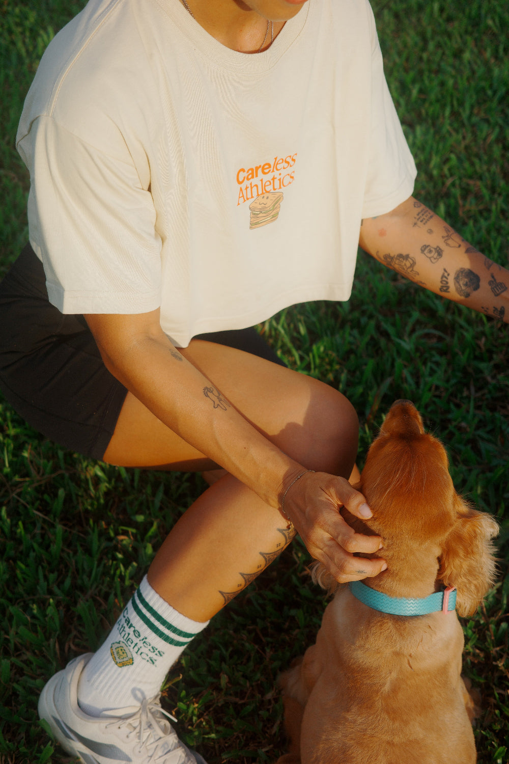 Person petting a dog outdoors on grass